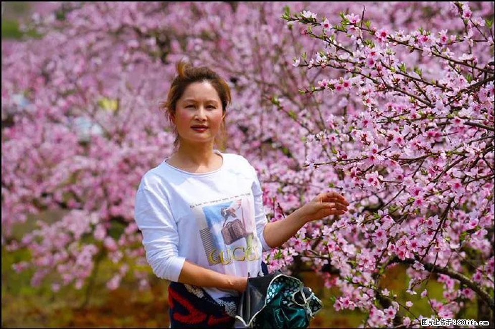 【春天，广西桂林灌阳县向您发出邀请！】官庄村有个醉美的桃花园 - 游山玩水 - 渭南生活社区 - 渭南28生活网 wn.28life.com