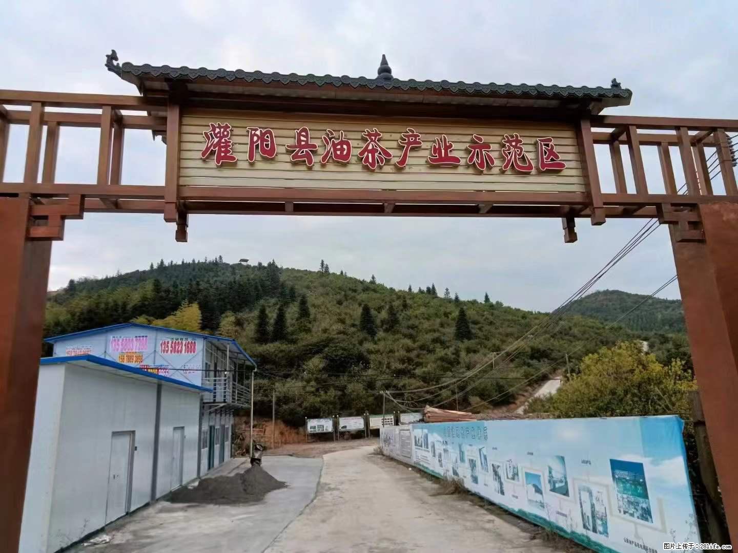 【灌阳县油茶产业示范区】一个有着充实的精神生活的人,对待身外之物自会有一种淡泊的态度 - 美食天地 - 渭南生活社区 - 渭南28生活网 wn.28life.com