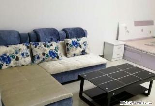 新洲商圈精装公寓 家电齐全 可办公可住 诚心急租 - 渭南28生活网 wn.28life.com