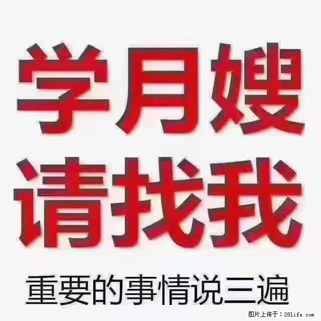 【招聘】月嫂,上海徐汇区 - 职场交流 - 渭南生活社区 - 渭南28生活网 wn.28life.com