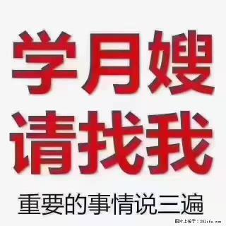 【招聘】月嫂，上海徐汇区 - 渭南28生活网 wn.28life.com