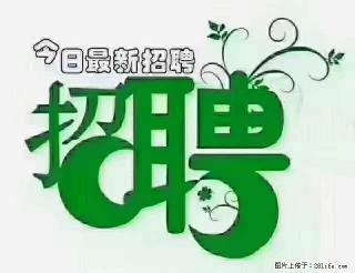 上海青浦区招仓管 - 渭南28生活网 wn.28life.com