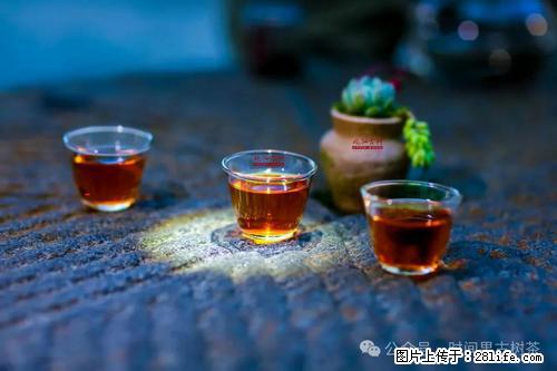 时间果百年古树2025年春红茶 - 购物交流 - 渭南生活社区 - 渭南28生活网 wn.28life.com