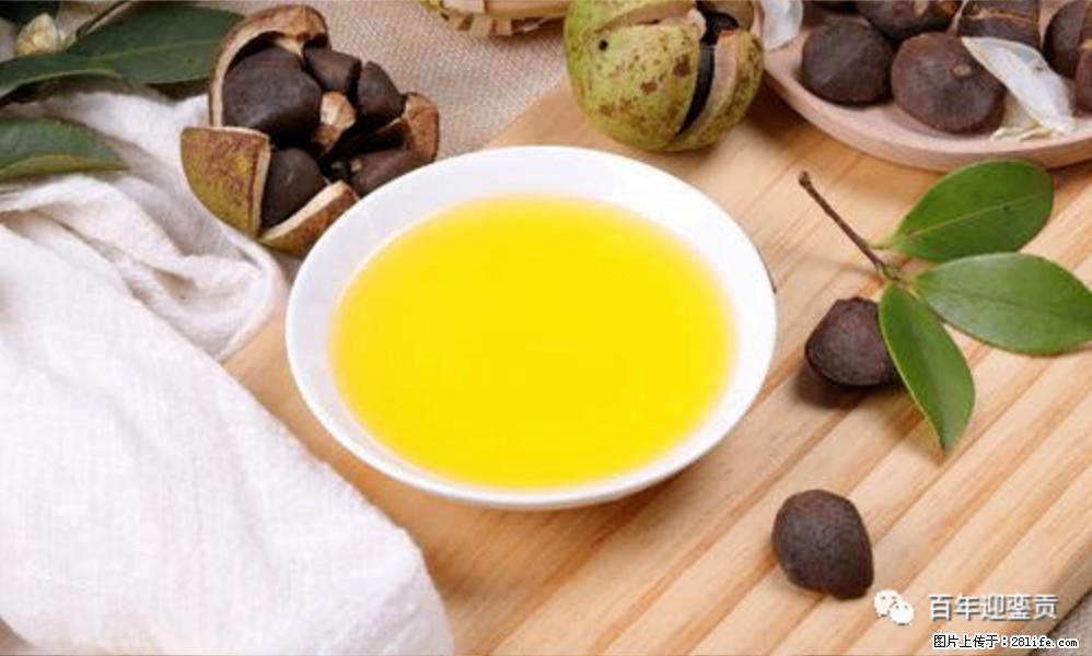 揭秘茶油的5大核心营养成分!被称为人体健康的“守护盾”! - 渭南生活资讯 - 渭南28生活网 wn.28life.com