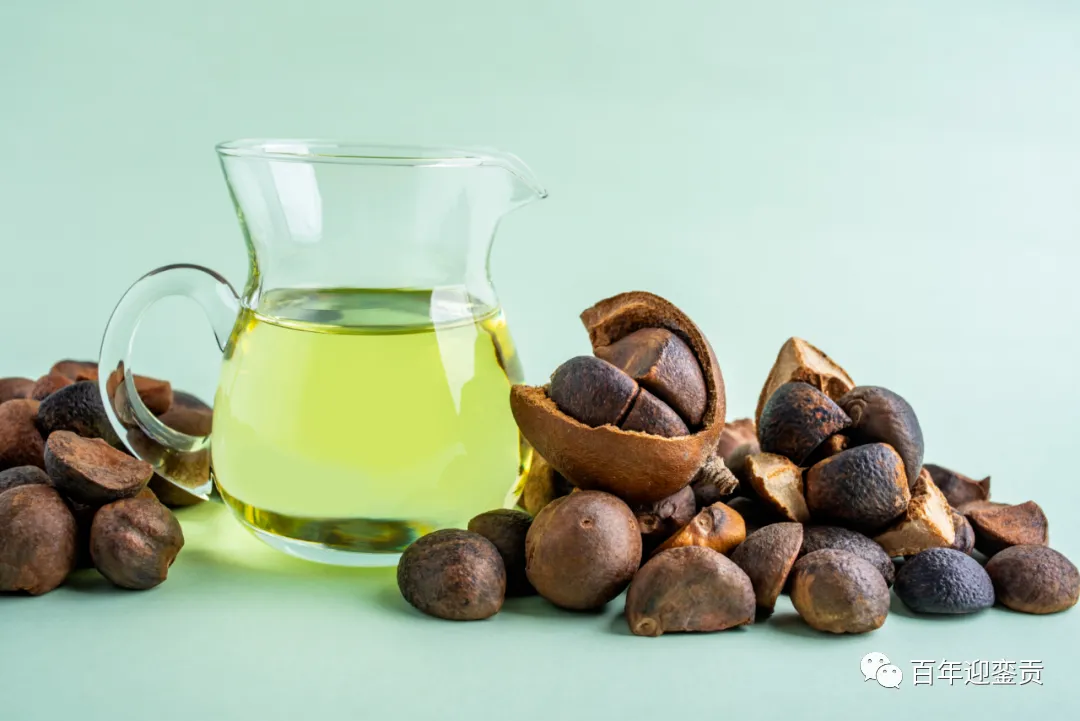 世界没有真相,只有认知,最好的食用油是中国的山茶油! - 渭南生活资讯 - 渭南28生活网 wn.28life.com