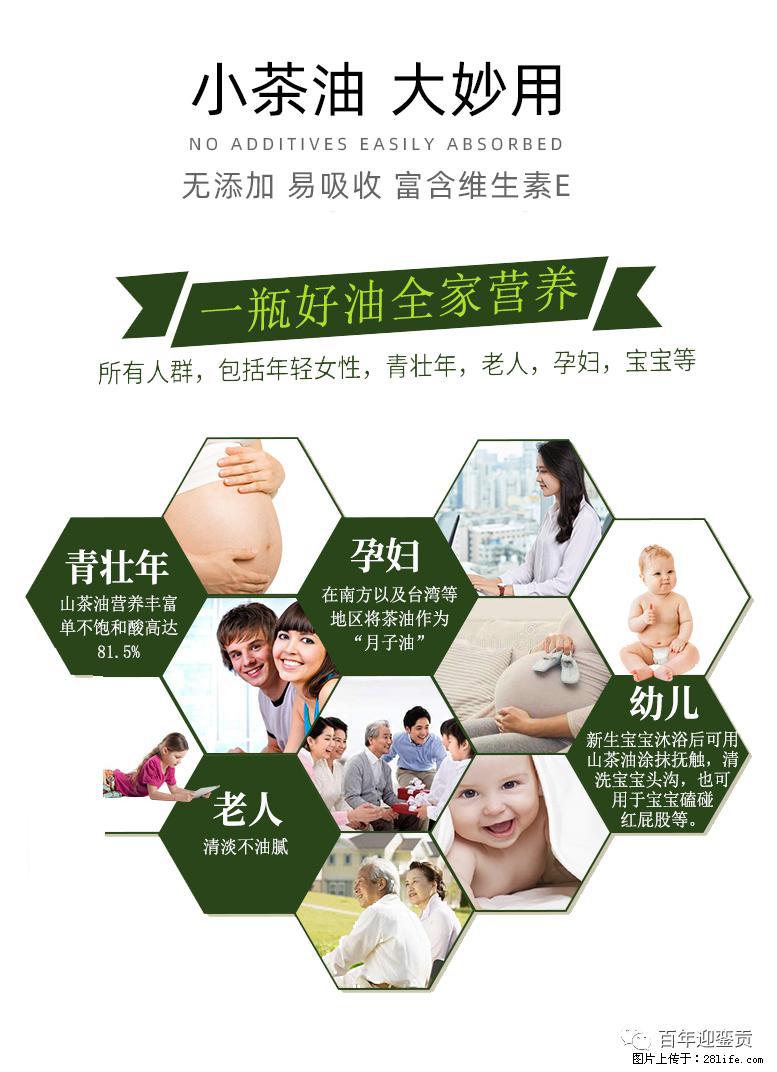 世界没有真相,只有认知,最好的食用油是中国的山茶油! - 渭南生活资讯 - 渭南28生活网 wn.28life.com