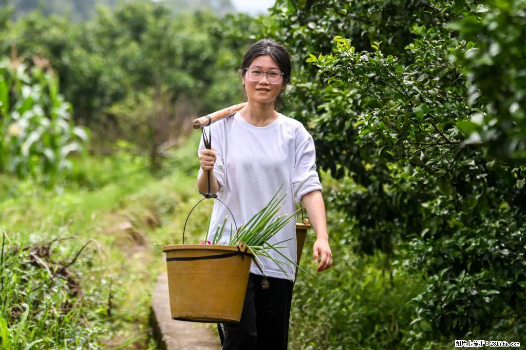 全网追的“扁担女孩”,找了一份暑假工,时薪12元 - 渭南生活资讯 - 渭南28生活网 wn.28life.com