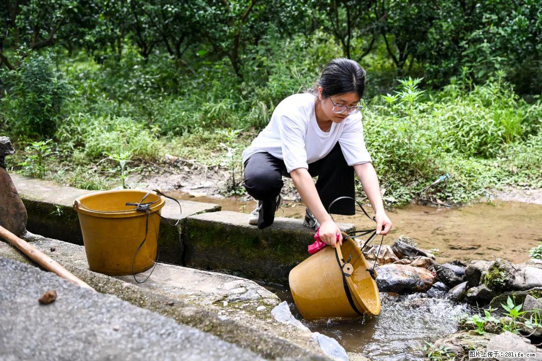 全网追的“扁担女孩”,找了一份暑假工,时薪12元 - 渭南生活资讯 - 渭南28生活网 wn.28life.com