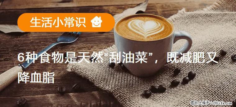 【生活小常识】6种食物是天然“刮油菜”,既减肥又降血脂 - 渭南生活资讯 - 渭南28生活网 wn.28life.com