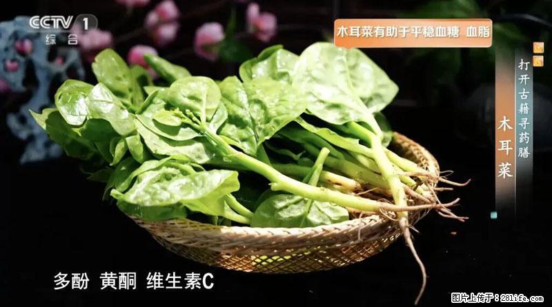 比牛奶补钙还厉害!凉血解毒、稳血糖...这菜冬天必吃,很多人却当草 - 渭南生活资讯 - 渭南28生活网 wn.28life.com