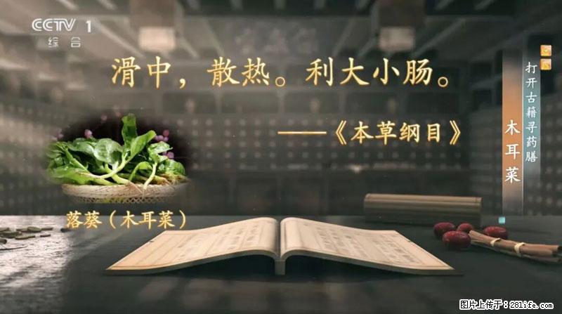 比牛奶补钙还厉害!凉血解毒、稳血糖...这菜冬天必吃,很多人却当草 - 渭南生活资讯 - 渭南28生活网 wn.28life.com