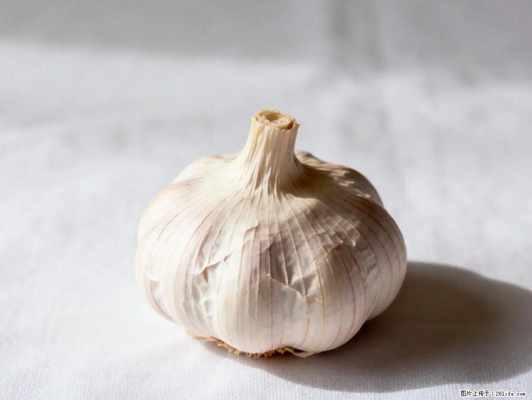 关于大蒜,除了“天然抗生素”,这4个谣言更该警惕! - 渭南生活资讯 - 渭南28生活网 wn.28life.com