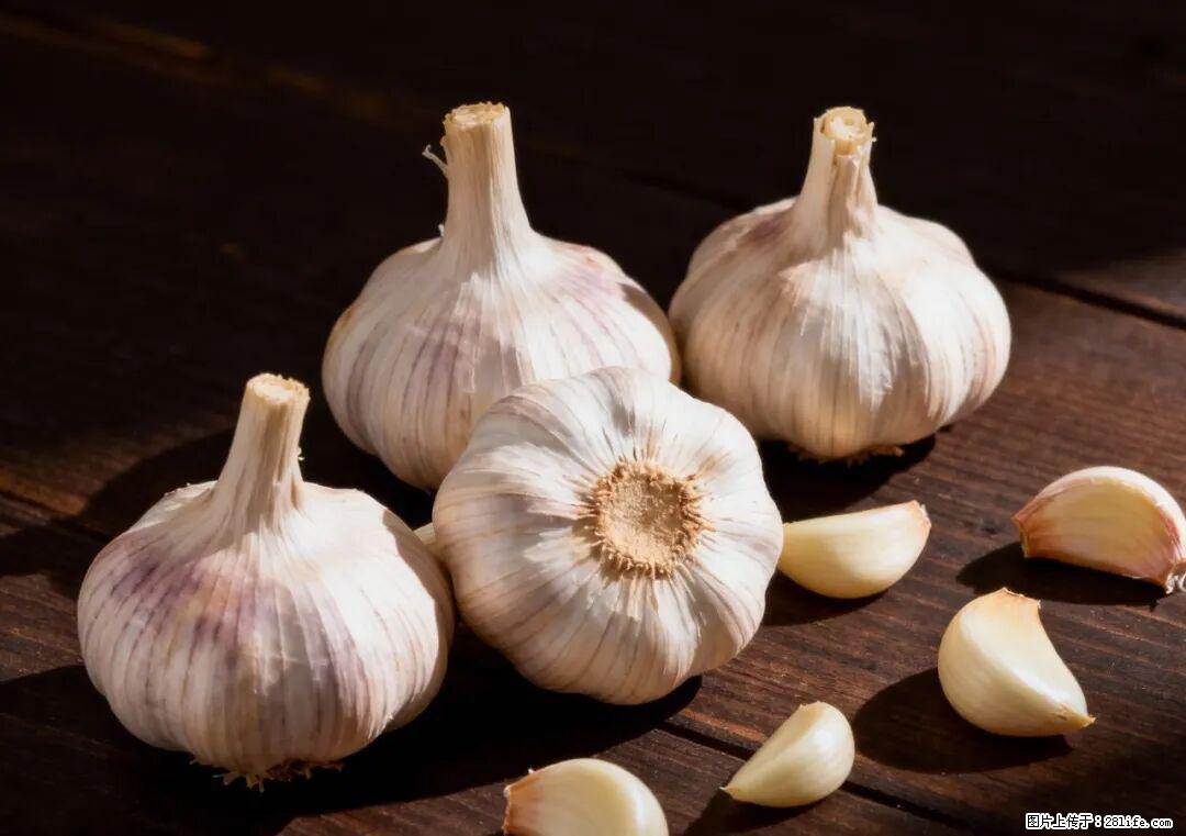 关于大蒜,除了“天然抗生素”,这4个谣言更该警惕! - 渭南生活资讯 - 渭南28生活网 wn.28life.com