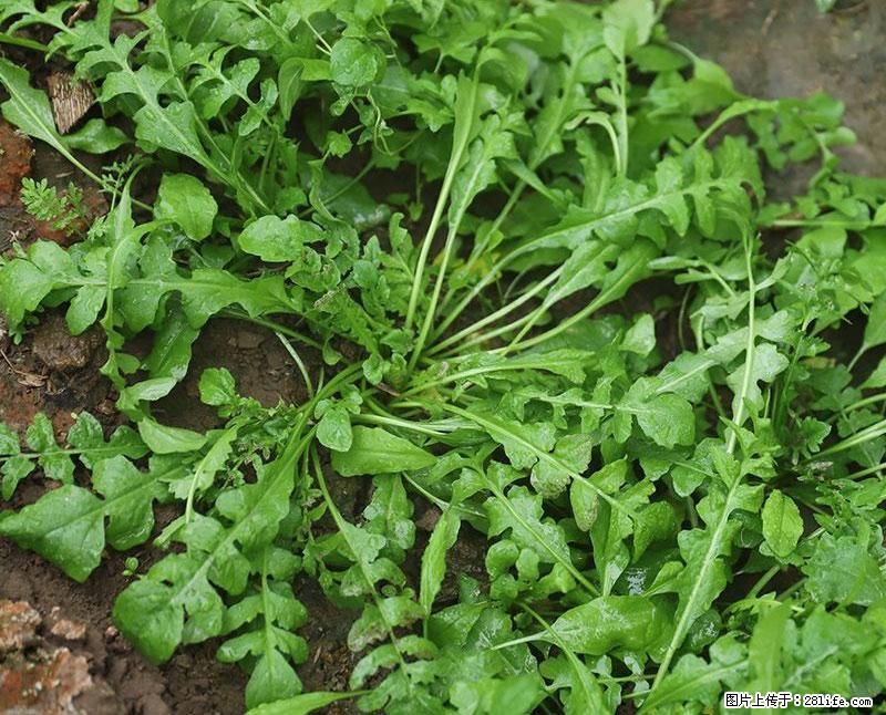 这些蔬菜是“天然钙片”，这6种被医生重点推荐 - 渭南生活资讯 - 渭南28生活网 wn.28life.com