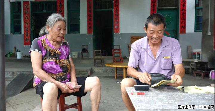 【乡村振兴】广西桂林市灌阳县文市蜂糖李、黄金奈李迎丰产上市季 甜蜜产业助振兴 - 渭南生活资讯 - 渭南28生活网 wn.28life.com